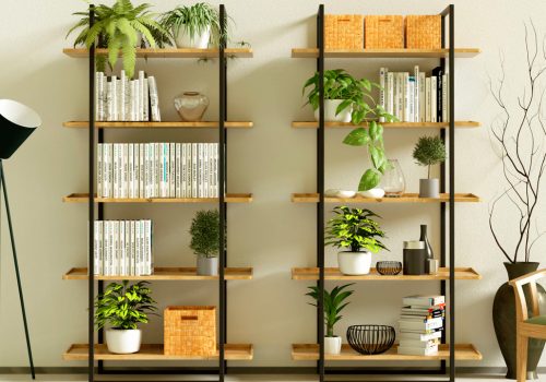 bookcase-2 bookcase-2